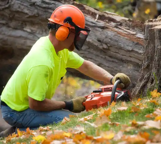 tree services Annville